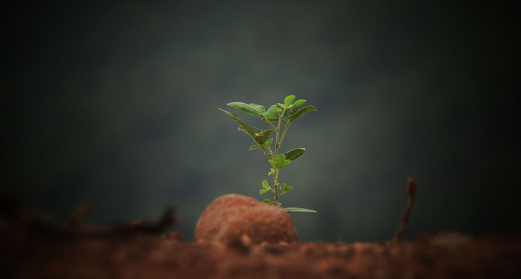 pg电子模拟器(中国游)官方网站